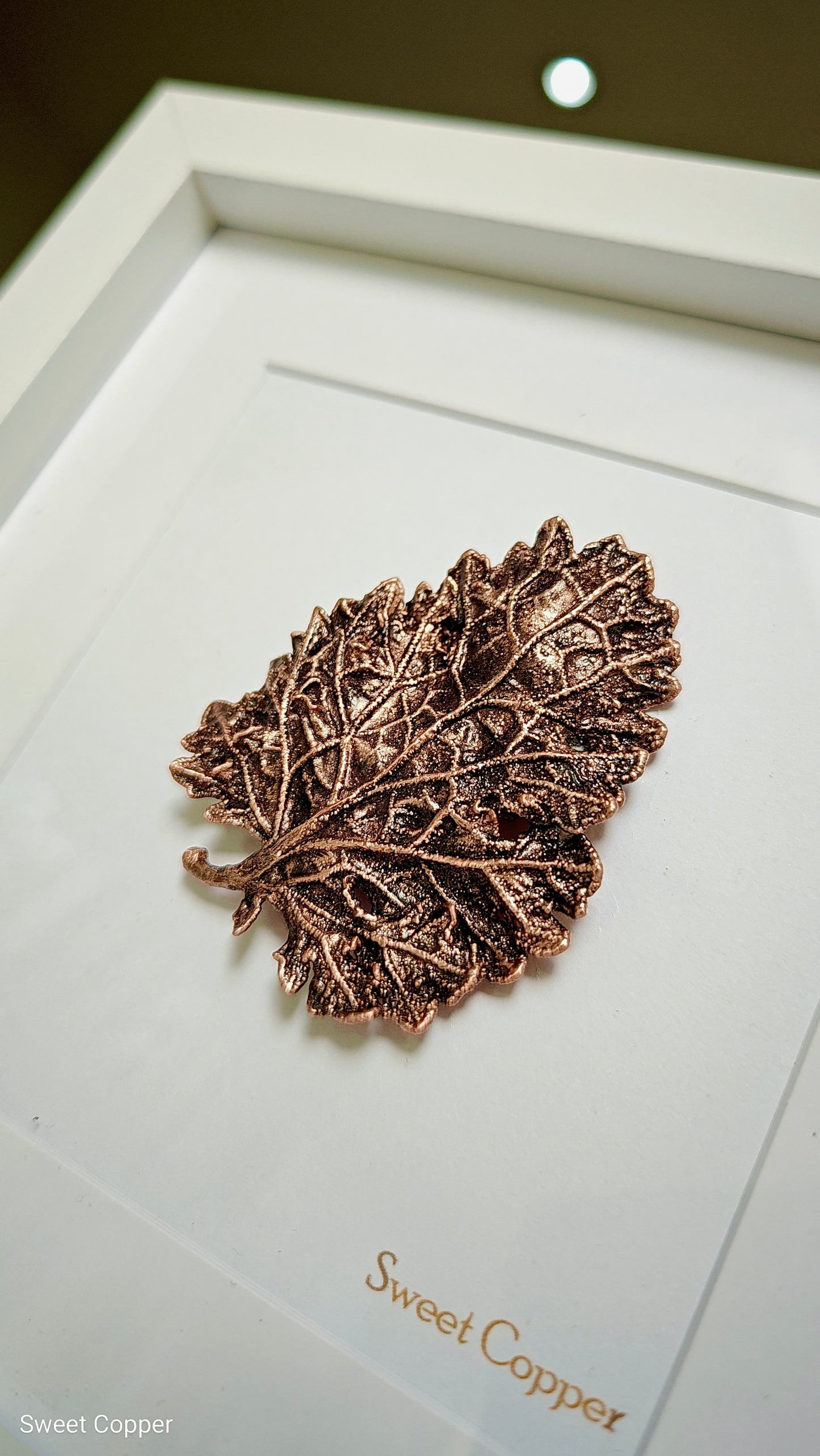 Curly Grass Wall Art – Graphite Patina | WA004
