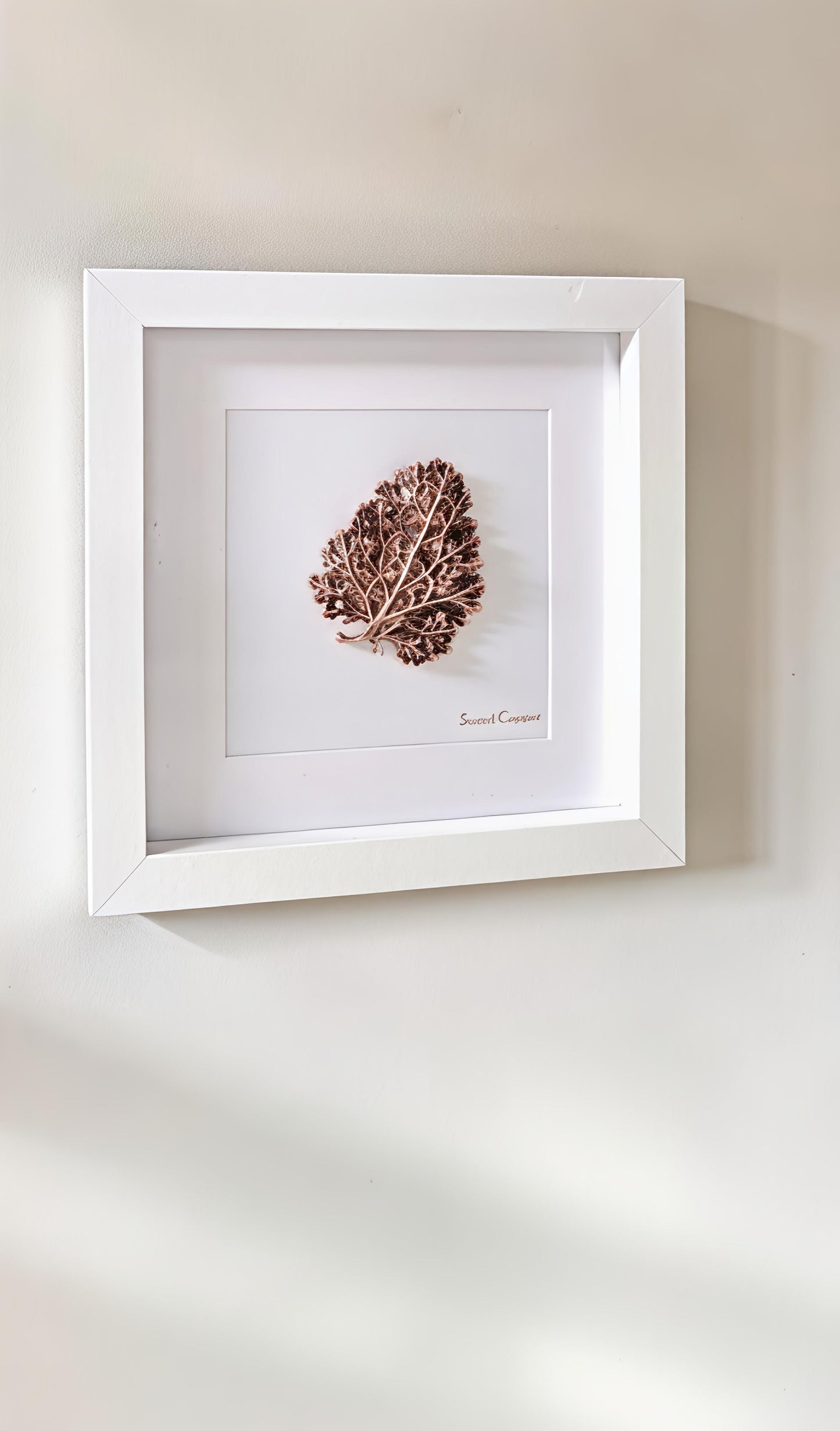 Curly Grass Wall Art – Graphite Patina | WA004
