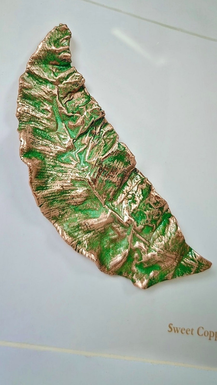 Hart's-Tongue Fern – Green Patina – Wall Art | WA007